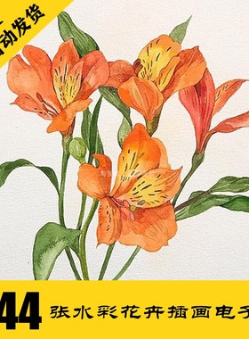 C217 水彩花卉插画电子图344张 手绘植物手绘素材 持续更新