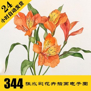 持续更新 手绘植物手绘素材 C217 水彩花卉插画电子图344张