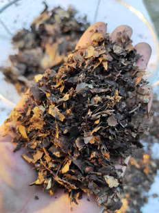 自然腐熟松针叶橡树叶兰花植料，易发苗发芽发根容易管理