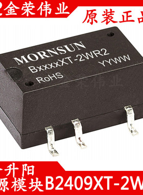 B2409XT-2WR2 金升阳DC-DC隔离电源模块 定电压输入24V转9V输出2W