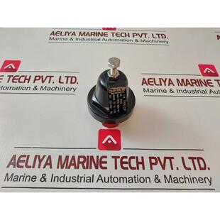 原装供应现金阀 1/4 CP 压差 Riduzione Valvola 600 Psi