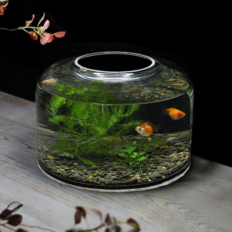 创意水草缸一次成型金鱼缸高透亮