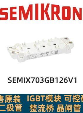 SEMIX453GB12VS SEMIX303GB12VS SEMIX503GB126V1SEMIX703GB126V1