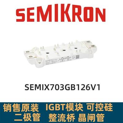 SEMIX453GB12VS SEMIX303GB12VS SEMIX503GB126V1SEMIX703GB126V1