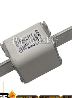 170M3243 170M3244 170M3245 170M3246/3247熔断器 询价