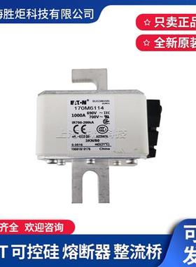 170M6110/6111/6112/6113/6114/6115/6116/6117/6118/6119熔断器