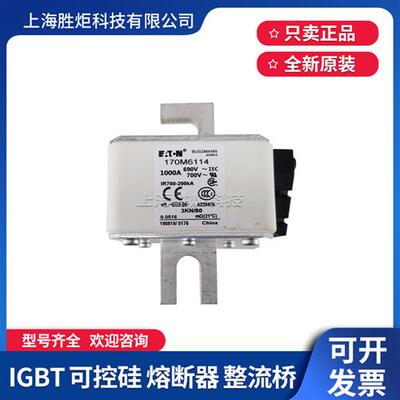 170M6110/6111/6112/6113/6114/6115/6116/6117/6118/6119熔断器