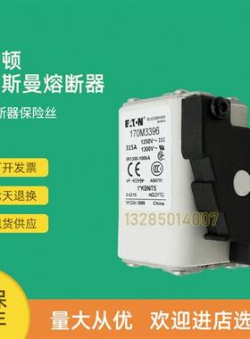 全新快速熔断器保险170M3359 170M3360 170M3361 170M3362