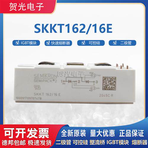 全新原装可控硅模块SKKT162/16E SKKT106/16E  SKKD100/16