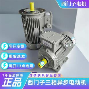 电机1LE00031DB233FA4Z11KW4极立式 三相异步交流电动机