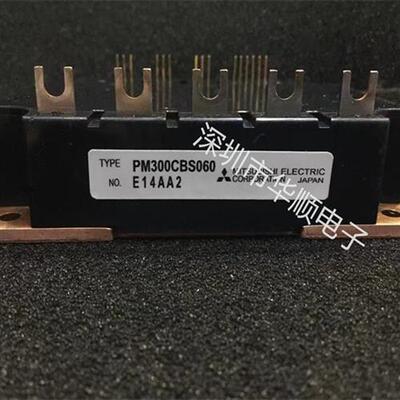 PM300CS1H060 PM300CBS060 PM200CBS060 PM450CS1H060 PM75CBS060