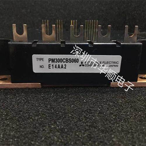 PM300CS1H060 PM300CBS060 PM200CBS060 PM450CS1H060 PM75CBS060