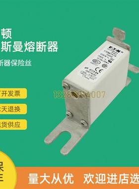 全新快速熔断器保险170M1421 170M1422 170M1458 170M1459