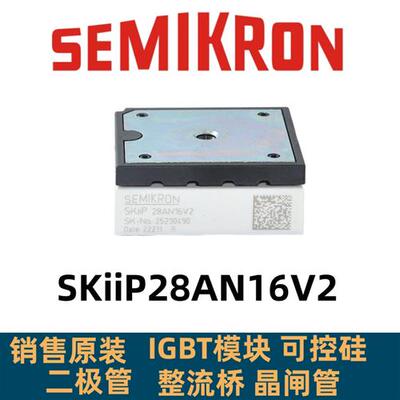SKIIP28ANB16V1 SKIIP28ANB16V2 SKIIP28AN16V2 SKIIP22NAB126V10