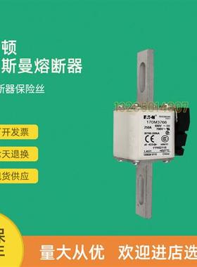 全新快速熔断器保险170M3764 170M3765 170M3766 170M3767