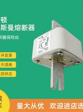 全新快速熔断器保险170M6094 170M6103 170M6108 170M6109