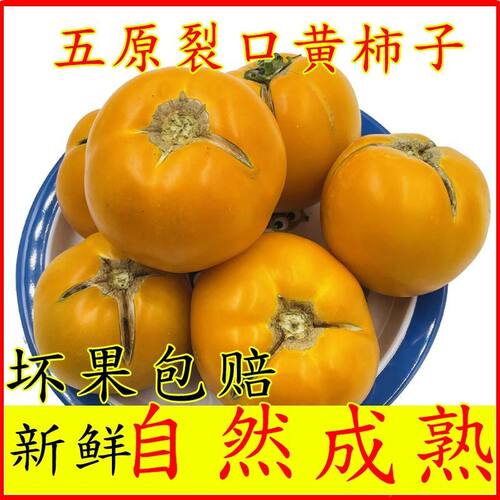 内蒙五原县瓜子
