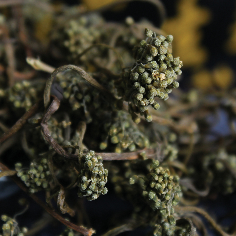 长白山人参花茶100克新货正品6年超干人参花蕾 泡茶 煲汤 人参花
