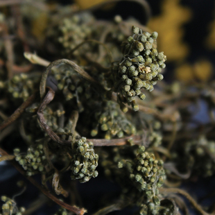 长白山人参花茶100克新货6年超干人参花蕾 泡茶 煲汤 人参花