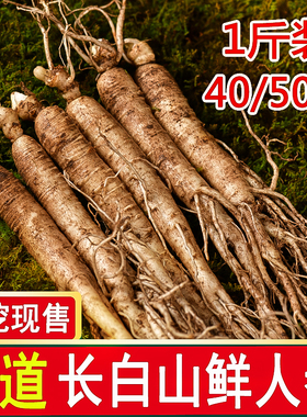 正宗长白山鲜人参500g东北鲜人参整根现挖新鲜人参泡酒专用中药材