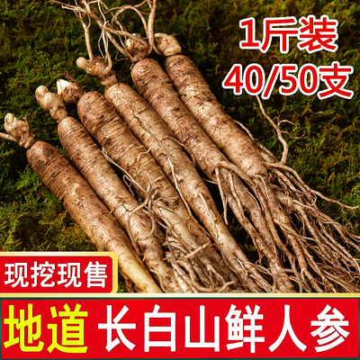 正宗长白山鲜人参500g东北鲜人参整根现挖新鲜人参泡酒专用中药材