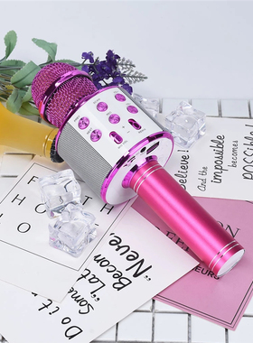 Wireless Bluetooth Karaoke Microphone Speaker话筒音箱家用K歌