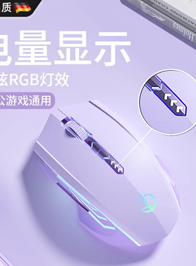 德国无线蓝牙鼠标可充电静音无声笔记本台式电脑电竞男女生通用