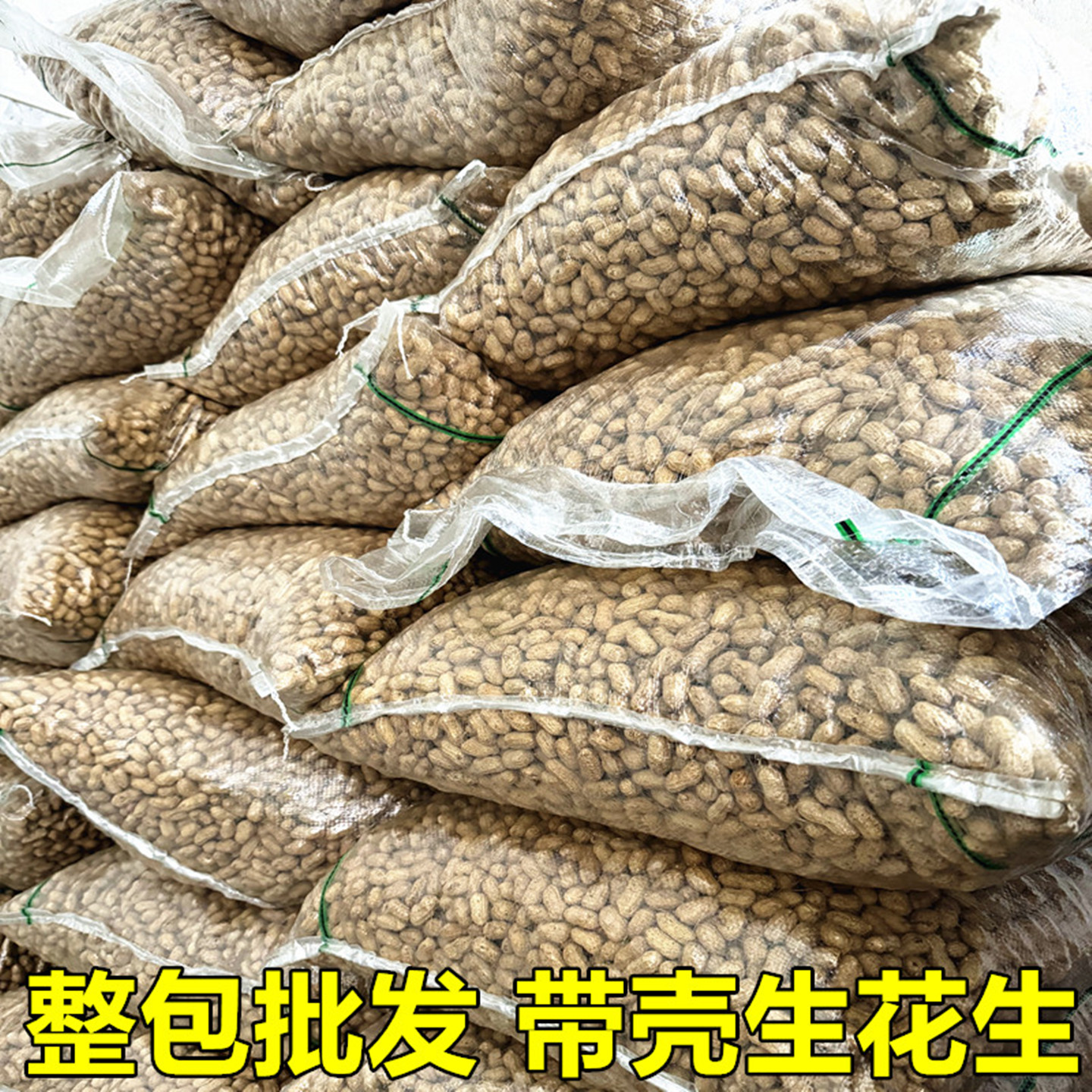 带壳花生50斤批发白沙花生四粒红图片