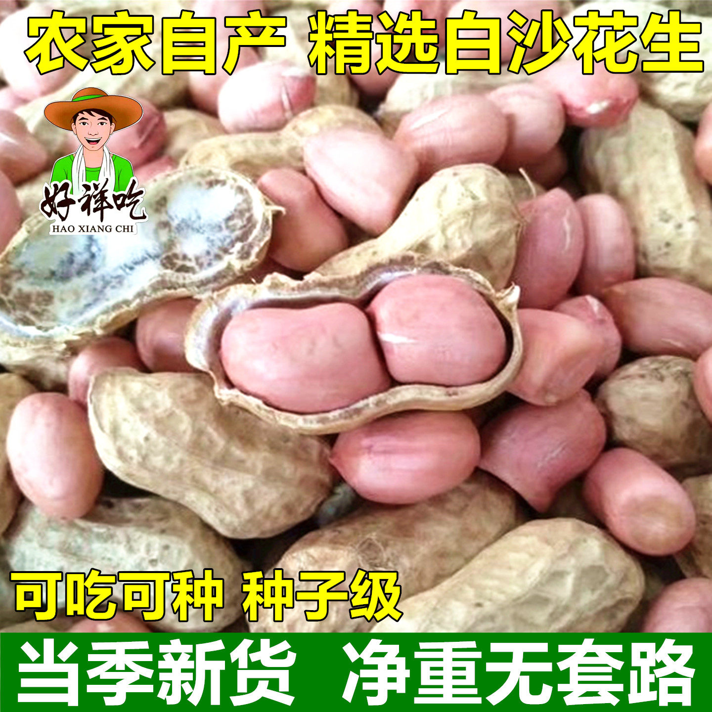 新鲜今年带壳生花生南阳农家种子图片