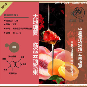 云南瑰夏 临沧云顶筑巢大地日晒精品咖啡 懒猴中浅烘焙咖啡豆