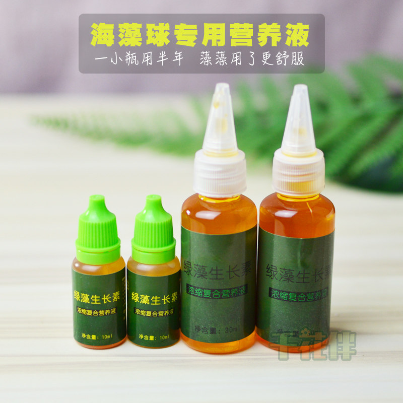 绿藻生长素 微量元素marimo海藻球营养液 液体肥料 有机水草肥料