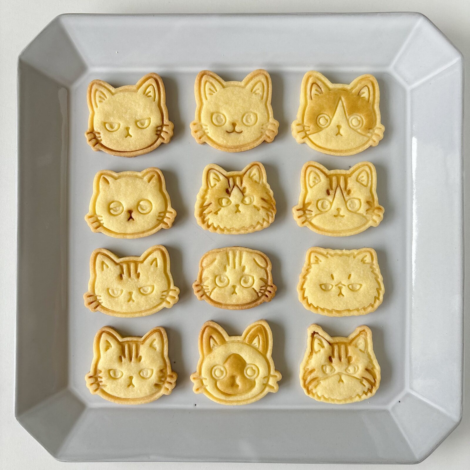 日式卡通可爱猫咪小鱼干饼干模具宠物迷你小号猫爪零食烘培工具