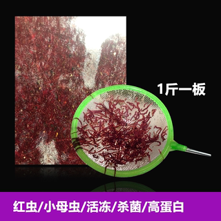 新品百畜兴旺冰冻红虫小母虫虫伢子速冻杀菌热带鱼饲料虎鱼罗汉七