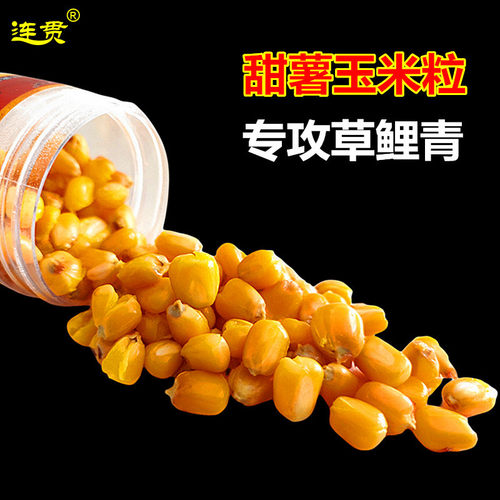连贯玉米粒鱼饵钓鲤鱼草鱼专用