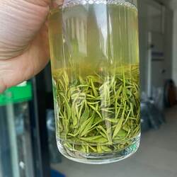 茶叶绿茶2026年新茶一芽一叶浓香耐泡板栗香高山嫩芽叶散装信阳发