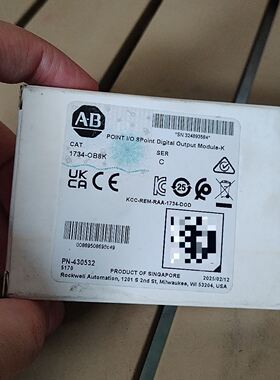 AB罗克韦尔1734-OB8K POINT I/O 8点数字