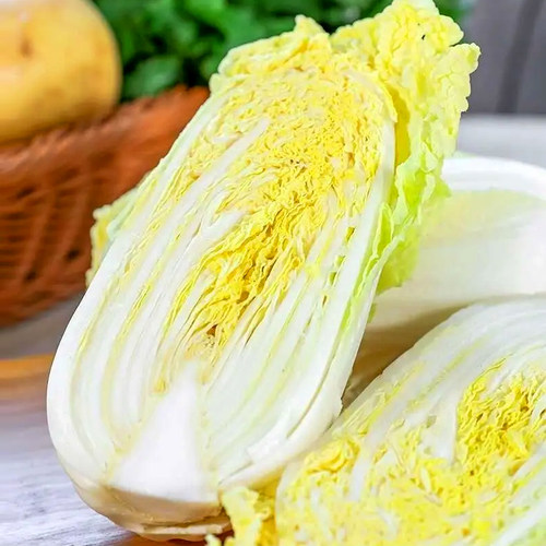 小型白菜黄心娃娃菜秋冬季蔬菜