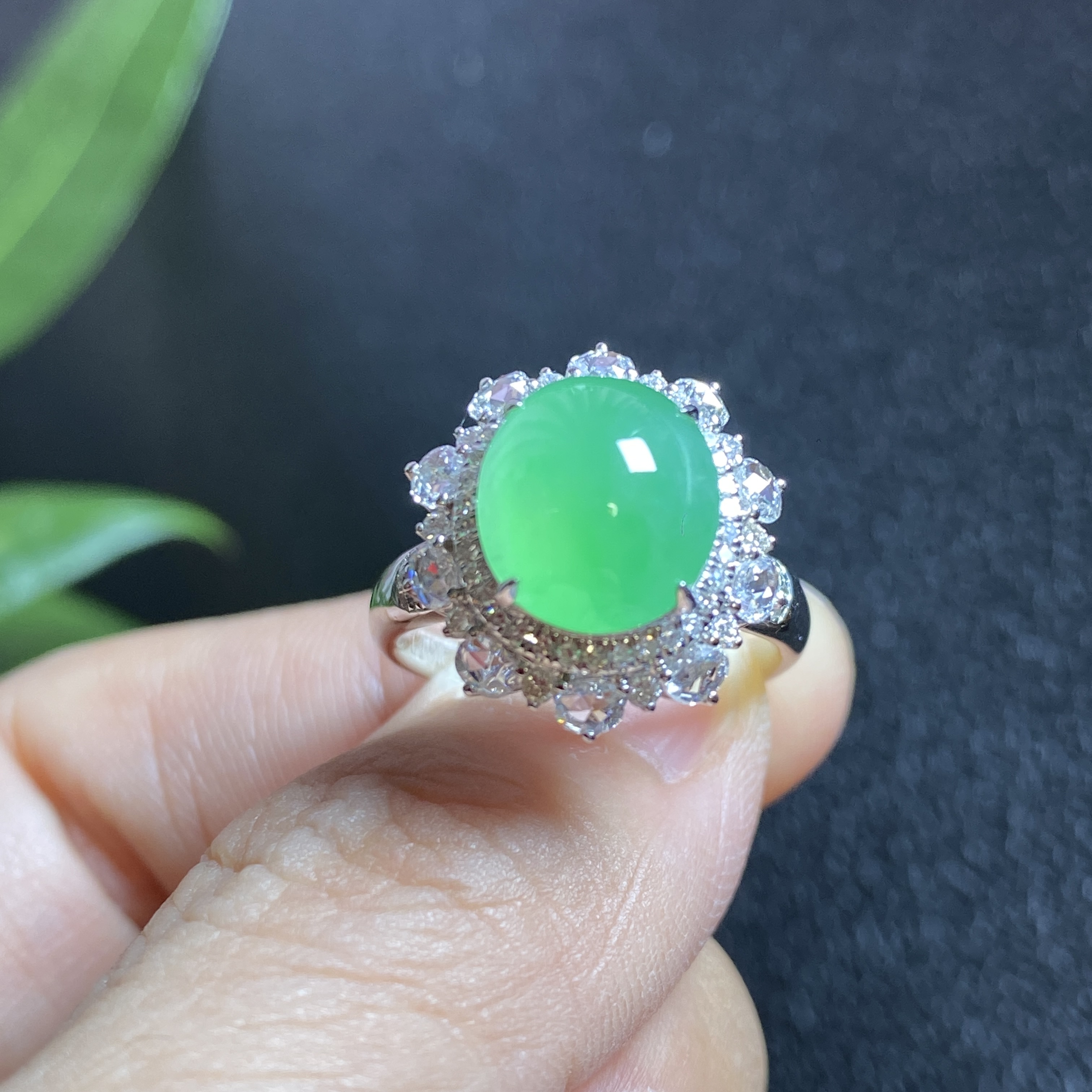 掌中翠缅甸翡翠A货冰种饱满阳绿蛋面18K金豪华镶嵌女款戒指 0433