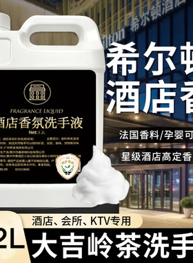 泡沫型洗手液补充装高级香氛家用杀菌消毒商用酒店大桶装按压瓶