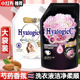 泰国芍药香氛洗衣液香味持久超香强力去污渍除菌家庭机洗手洗大袋