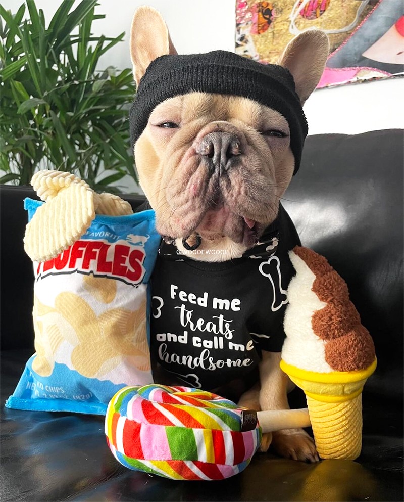 肥宅系列 P.L.A.Y.美国进口petplay宠物狗狗发声玩具毛绒陪伴玩具