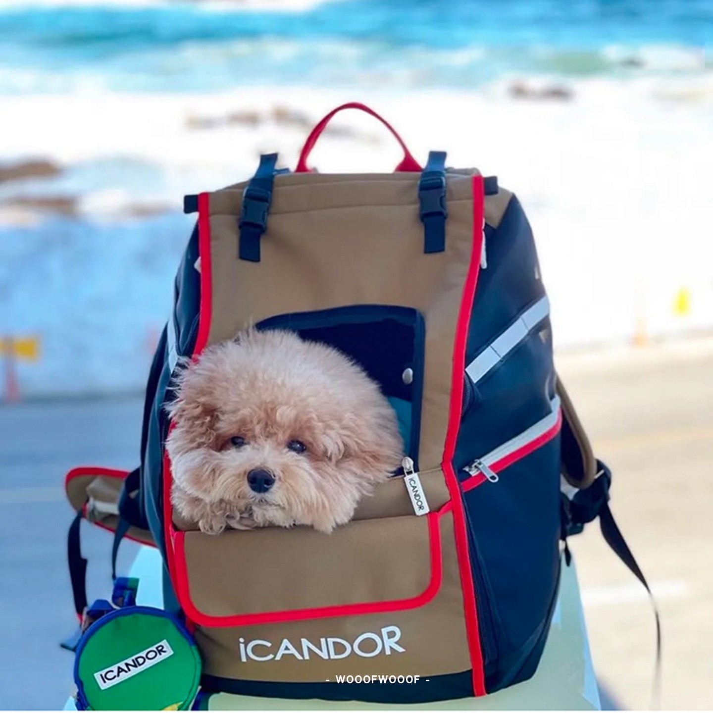 JIGE·iCANDOR宠物出行双肩背包