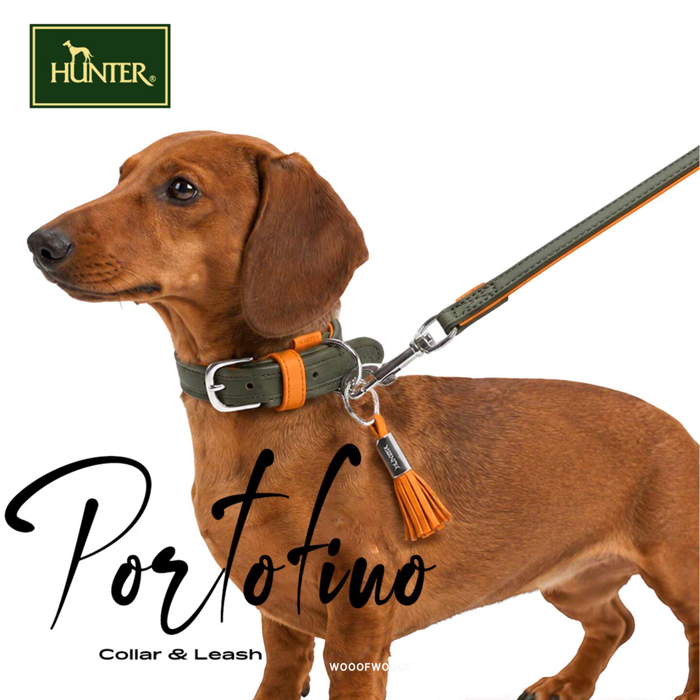 Portofino系列 HUNTER德国进口狗狗中大型猎犬牛皮宽版项圈牵引绳