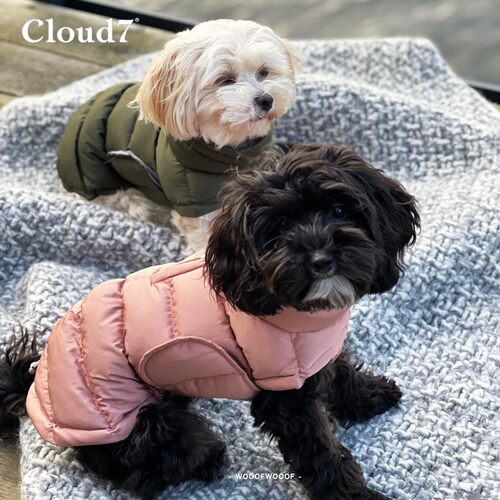 Alaska阿拉斯加防寒服 Cloud7德国进口中小型犬猫狗保暖加厚外套