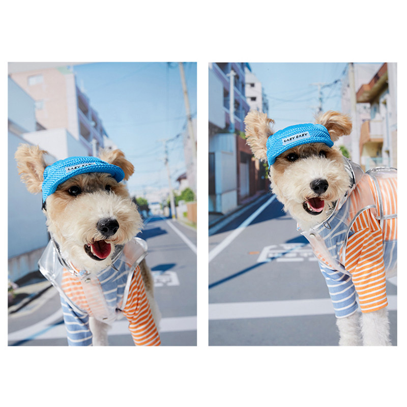 棒球帽 lazyeazy狗狗帽子宠物可爱遮阳帽露耳中小型犬雪纳瑞比熊