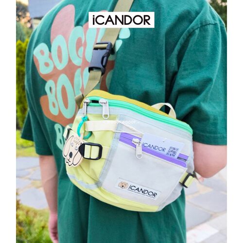 iCANDOR韩国进口多功能遛狗小包