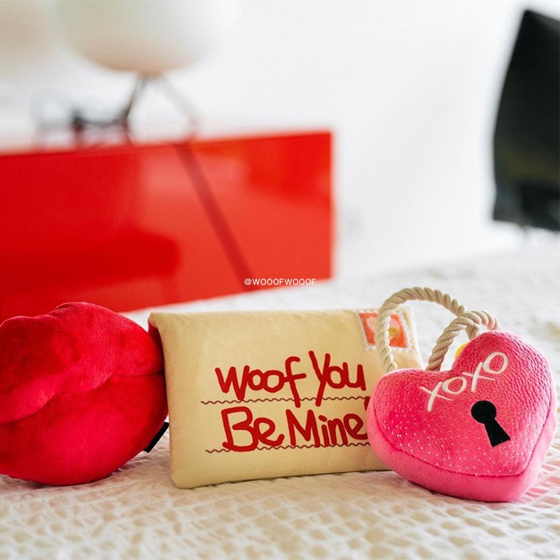 PETPLAY美国网红宠物狗狗玩具