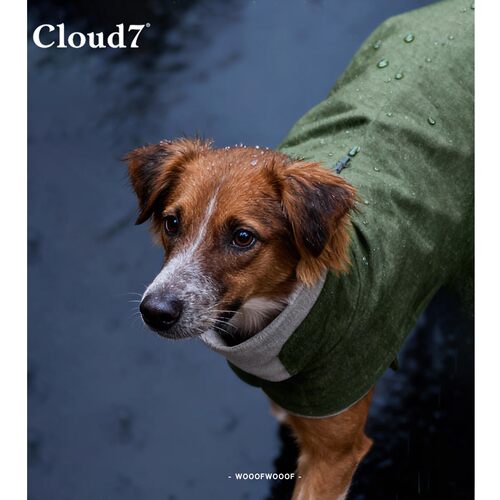Brooklyn布鲁克林冲锋衣 Cloud7德国进口宠物中小型犬猫保暖外套
