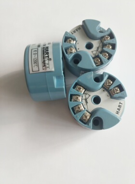 TT101R温度变送器HART模块PT100/CU50/K/E/S/R等