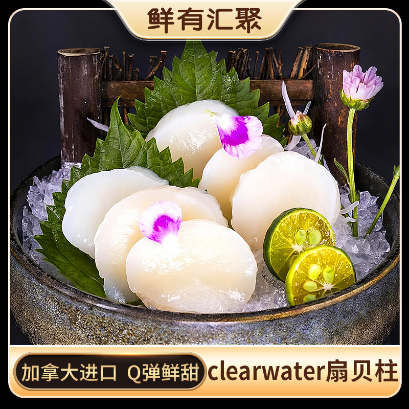 【鲜有汇聚】加拿大北极清水clearwater扇贝带子肉海鲜贝柱刺身